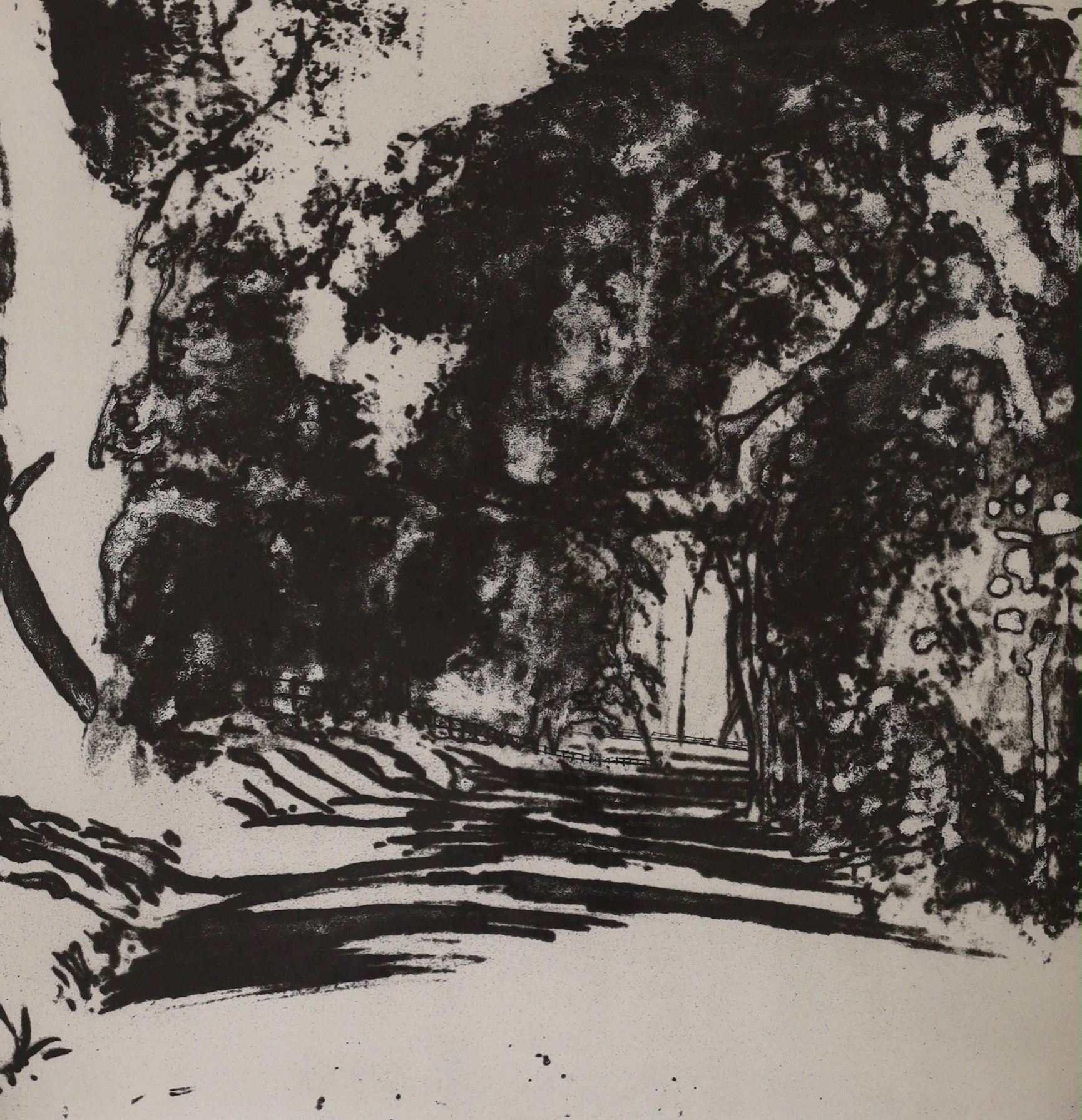 Norman Ackroyd (b.1938-), etching and aquatint, 'Study of trees and sunlight - Selborne', signed in pencil and dated 1980, 11/30, 43 x 40cm